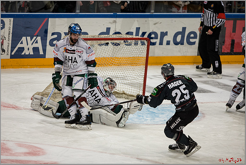 DEL, Koelner Haie - Augsburger Panther, 13.01.2017
